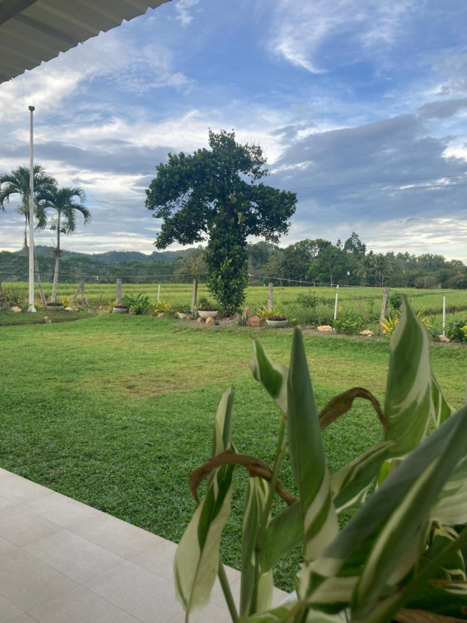 The Eliana Farm Resort And Villas Manolo Fortich Exterior photo